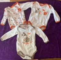 Babybutt Bodys Langarm Baby Kleiderpaket 62/68 Baden-Württemberg - Böblingen Vorschau