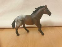 Schleich Appaloosa Hengst wie neu Schleswig-Holstein - Neumünster Vorschau