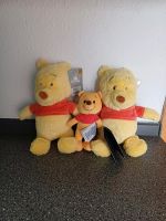 Disney Winnie Pooh Kuscheltiere Plüsch nuiMos Set Dithmarschen - Weddingstedt Vorschau