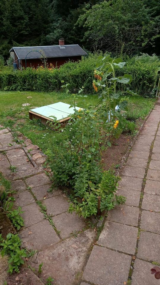 Garten in Rabenau/ Kleingarten/ Pachtgarten in Freital