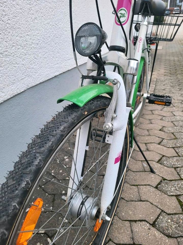 Pegasus Jugend Fahrrad in Wendelstein