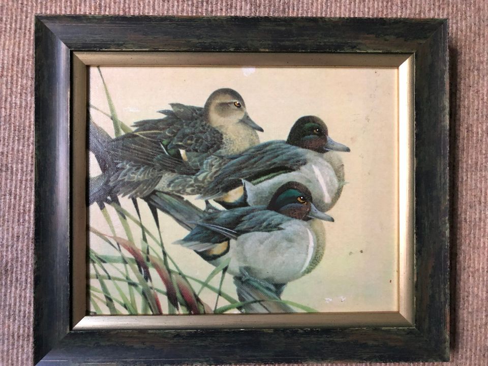 Enten-Gemälde auf Leinwand mit Holzrahmen, Augen mit Öl gemalt in Berlin