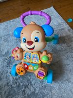 Lauflernhilfe Gehhilfe Hund Baby Kleinkind Fisher Price Eimsbüttel - Hamburg Eidelstedt Vorschau