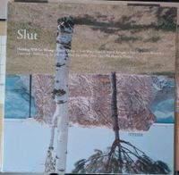 Slut | Nothing will go wrong | Vinyl LP Schallplatte Brandenburg - Woltersdorf Vorschau