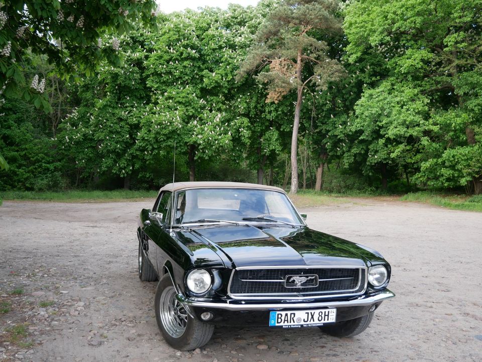 Ford Mustang mieten Rent a Mustang b. Berlin 1968 V8 4.7 Cabrio in Bernau