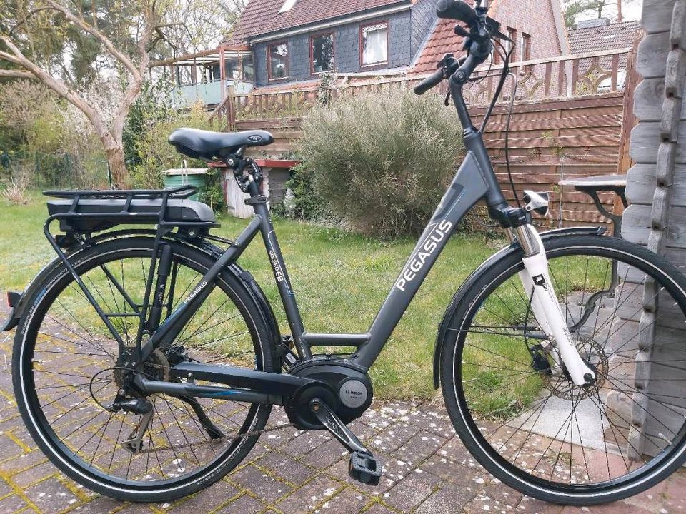 E Bike Pegasus Bosch 28 Zoll 55cm grau in Hamburg