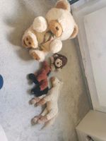 Stofftiere und Puppen zu verschenken Bayern - Stadtsteinach Vorschau