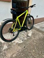 Mountainbike Fahrrad Focus Whistler 29 zoll Nordrhein-Westfalen - Siegen Vorschau