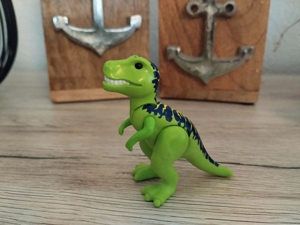Playmobil Figuren  Bauarbeiter Römer Dinosaurier Holzfäller in Lohmen