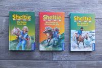 Sheltie/3x spannende Ponygeschichten/erster Lesespaß in Großdruck Dithmarschen - Heide Vorschau