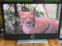 Loewe 32 Zoll Smart TV, Niedersachsen - Langenhagen Vorschau