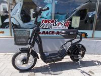 Elektroscooter GTS Scooter Bravo Volta elektrik Roller Nordrhein-Westfalen - Euskirchen Vorschau