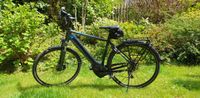 E-Bike Pegasus Premio EVO 10 RH 53 TOP Zustand Wuppertal - Cronenberg Vorschau