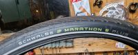 Schwalbe 28/29 zoll Marathon E Plus 28x2.15 55-622 Niedersachsen - Lüneburg Vorschau