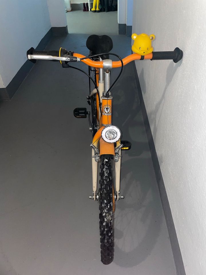 Kinderfahrrad in Extertal