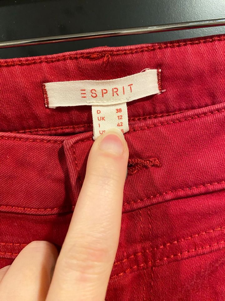 Esprit Jeans 38 in Möhnesee