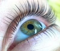 Wimpernlifting Wimpernwelle Nordrhein-Westfalen - Mönchengladbach Vorschau