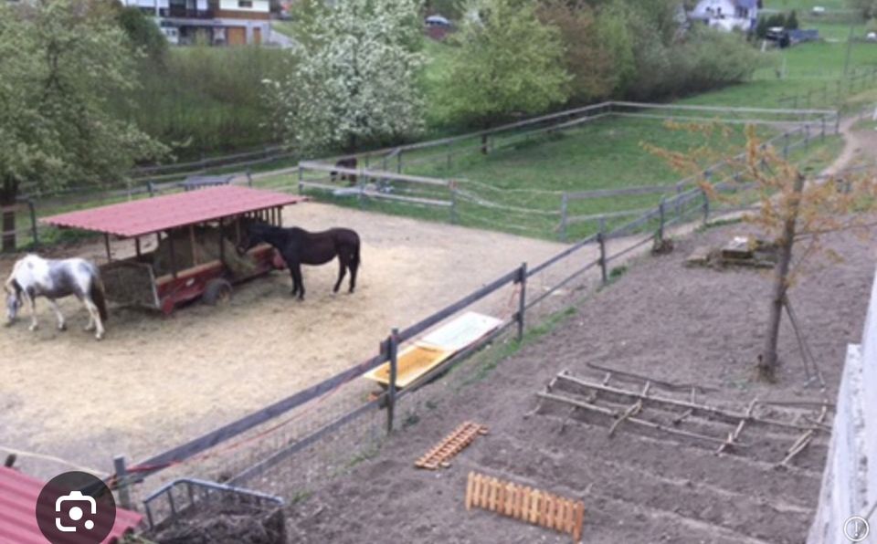 Mietwohnung mit Pferdehaltung gesucht! in Bad Windsheim