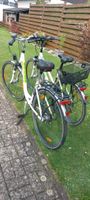 Fahrräder, Damenrad, Herrenrad, Pegasus Nordrhein-Westfalen - Alsdorf Vorschau