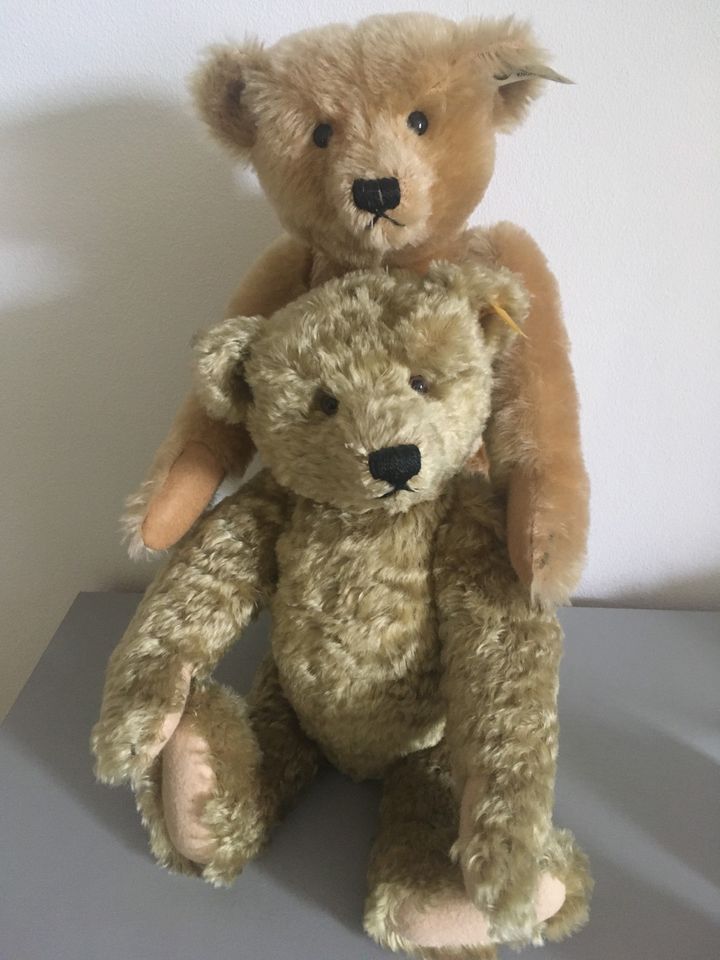 Steiff Bären, blond, Mohair, Teddys in Waltershausen