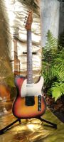 Fender Telecaster USA 1975 1976  Vintage E-Gitarre Dortmund - Innenstadt-West Vorschau