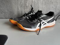 Asics Hallenschuhe Größe 42 Hessen - Bensheim Vorschau