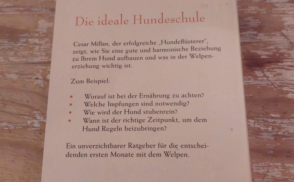 Buch Ratgeber: Cesar Millan Cesar Millans Welpenschule in Frankfurt am Main