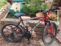 Mountainbike Nordrhein-Westfalen - Recke Vorschau