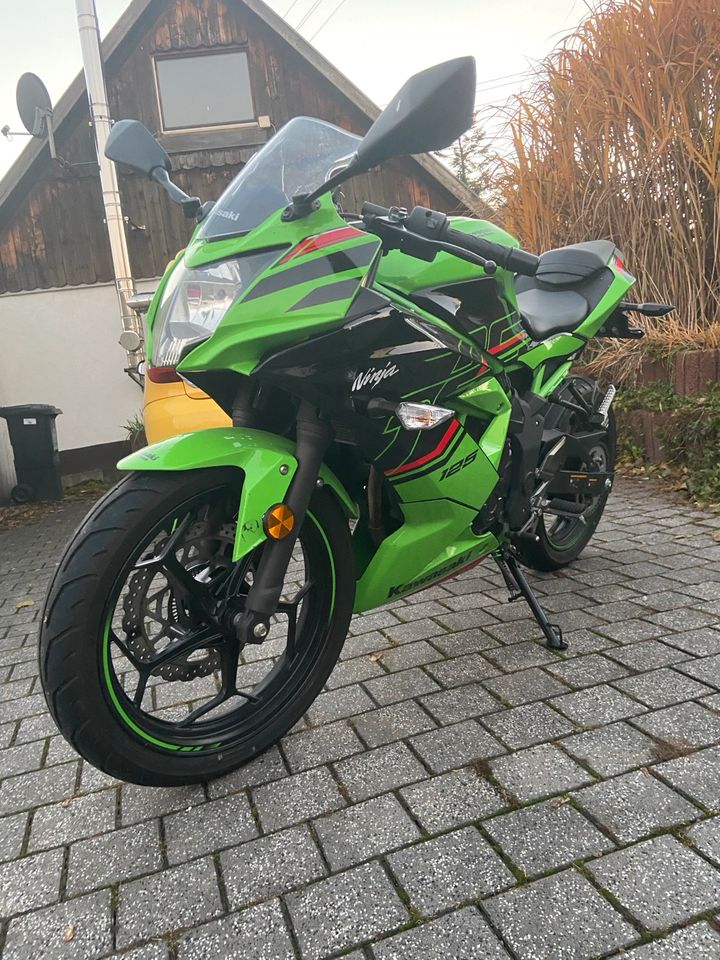 Kawasaki Ninja 125 in Kronburg