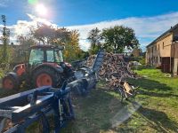 Lohnspalten Brennholzaufbereitung, Brennholz, Feuerholz,Kaminholz Sachsen - Burkau Vorschau