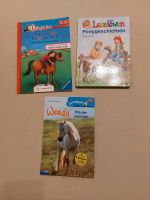 4 tlg. Bücher Set Pferde & Ponygeschichten Mädchen Baden-Württemberg - Heitersheim Vorschau