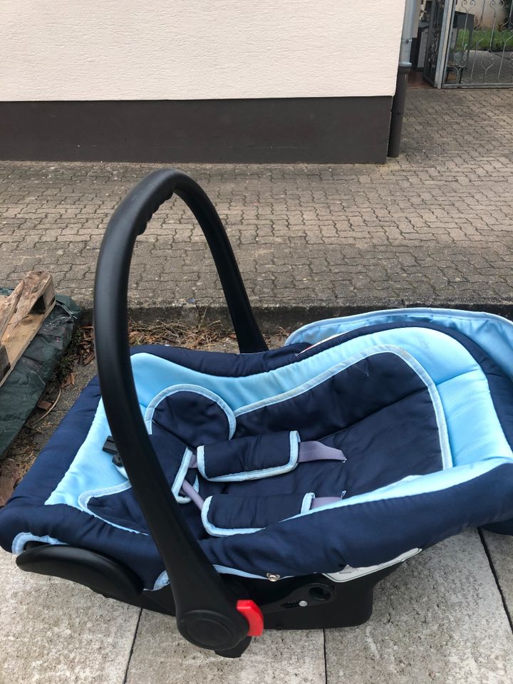 Kinderwagen Coral in Erlenbach am Main 