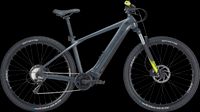 E-MTB Bulls LT CX EVO 29Zoll Gr. L / 48cm Rheinland-Pfalz - Traben-Trarbach Vorschau