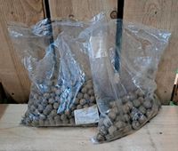 MTC Baits Shelf Life Red Tuna harte Futterboilies ~ 2,84 kg Carp Niedersachsen - Bad Bentheim Vorschau