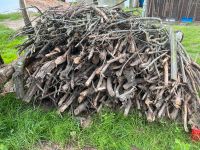 Brennholz zu verschenken Hessen - Künzell Vorschau