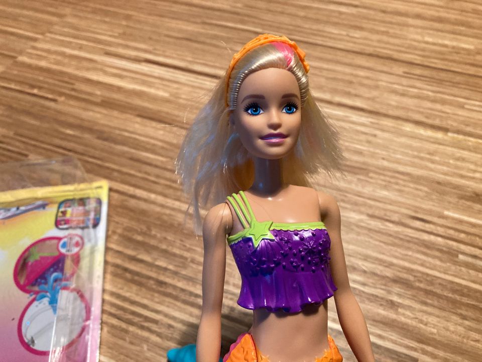 komplett Barbie Meerjungfrau Delfin Haarbürste Dreamhouse Adventu in Itzehoe