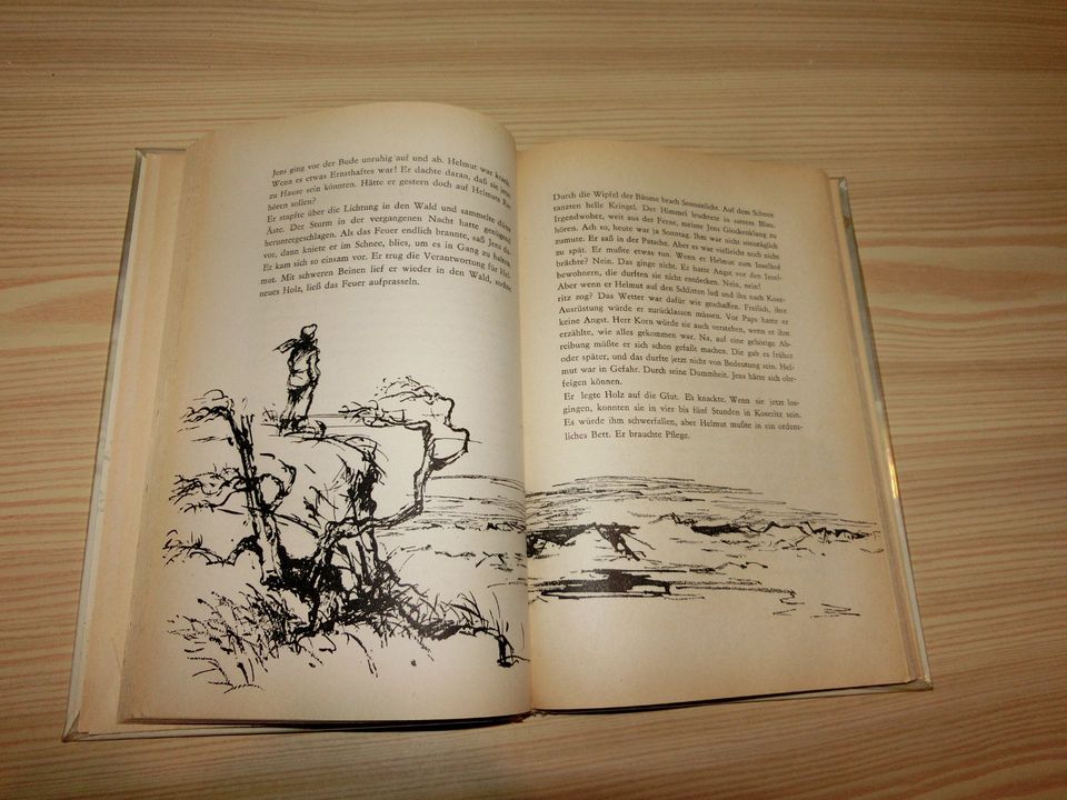 Sandokan Roman Strompiraten Feuer auf der Insel Sammler Buch rar in Dettingen an der Iller