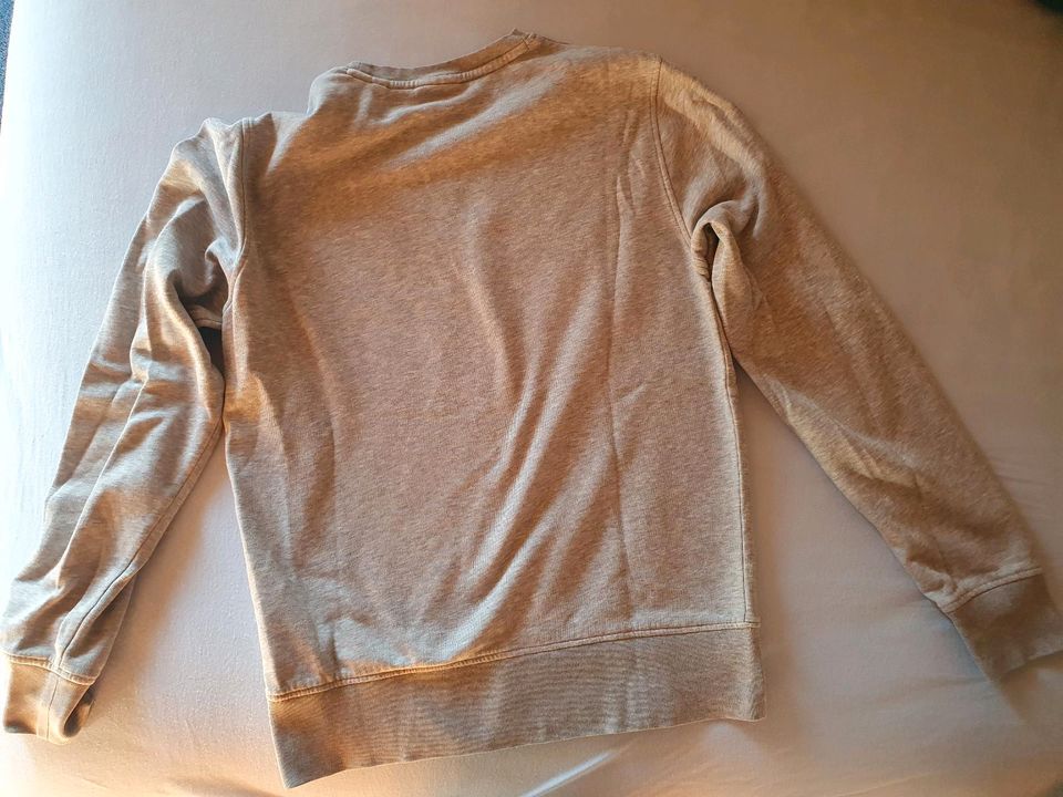 Gant /Sweatshirt /Sweater / Pullover / Gr. S / hellgrau / super! in Nürnberg (Mittelfr)