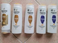 Pantene Pro-V Shampoo & Spülung, NEU, Volumen, Repair & Care,Haar Niedersachsen - Herzberg am Harz Vorschau