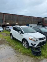 Ford Kuga alle Türen Frostweiß Nordrhein-Westfalen - Recklinghausen Vorschau