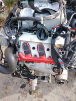 MOTOR AUDI CAK CAKA CAJA CGX CGW 333PS 37TKM Sachsen - Dippoldiswalde Vorschau