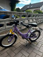 Puky Fahrrad 16 Zoll mit stützräder Hessen - Obertshausen Vorschau