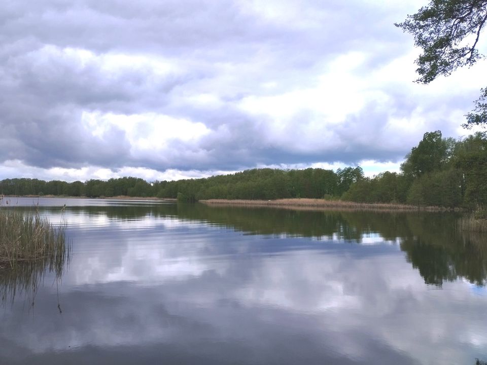 Einmaliger Baugrund in Ruhe – und Waldrandlage Nahe Mellensee in Am Mellensee