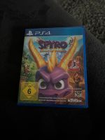 Spyro PS 4 Hessen - Hammersbach Vorschau