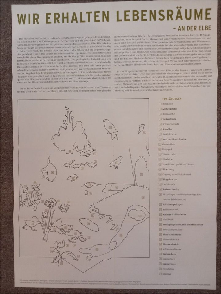 Naturposter für den Biologieunterricht in Dresden