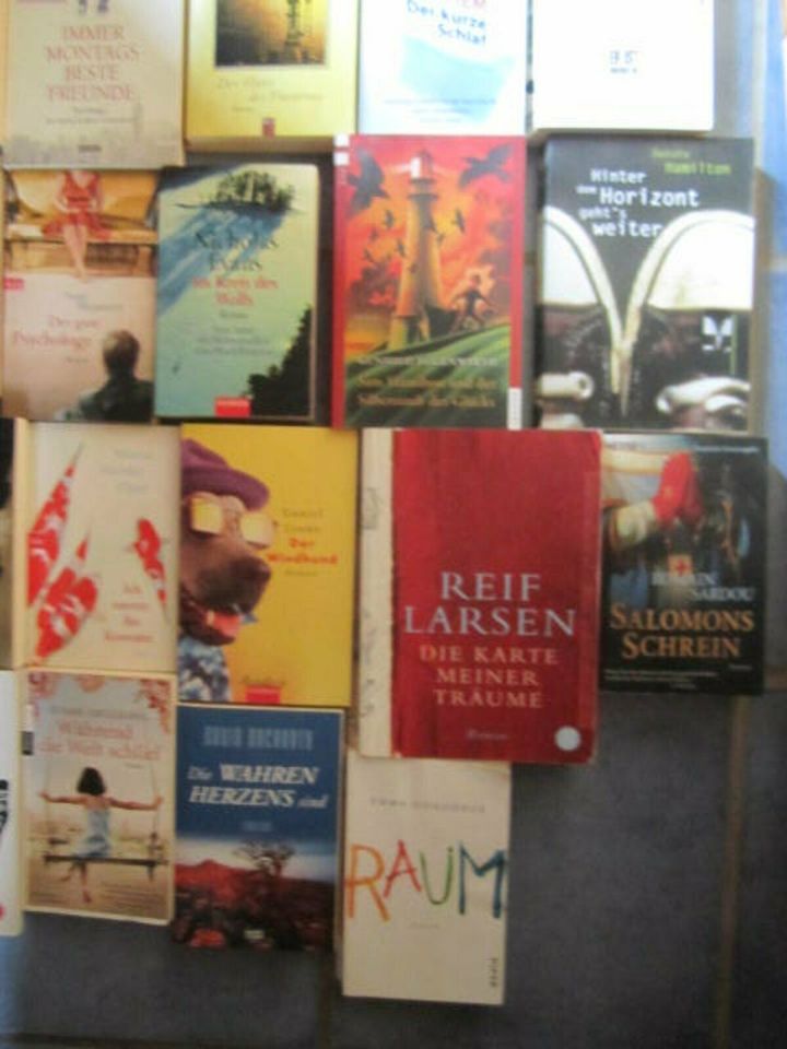Bücher Sammlung - 43 Bücher - Buchpaket mit Bestseller-Autoren in Ottweiler