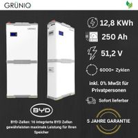 GRÜNIQ 48V Solar Speicher Batterie 12,8KWh 51,2V 250Ah BYD-Zellen Nordrhein-Westfalen - Düren Vorschau