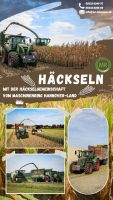 Häckseln Gras, GPS, Mais / Claas, Fendt Lohnarbeit Maschinenring Niedersachsen - Neustadt am Rübenberge Vorschau