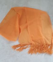 Schal Tuch Halstuch   25 x 190 cm Orange Nordrhein-Westfalen - Lippstadt Vorschau