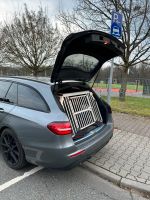 Hundebox für Auto Frankfurt am Main - Fechenheim Vorschau